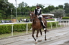 Immagine <b>REG_9219</b>